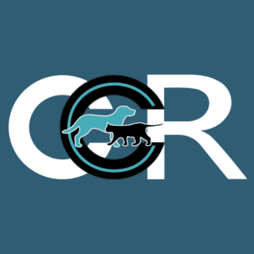 Wordpress Favicon Rec Size-2