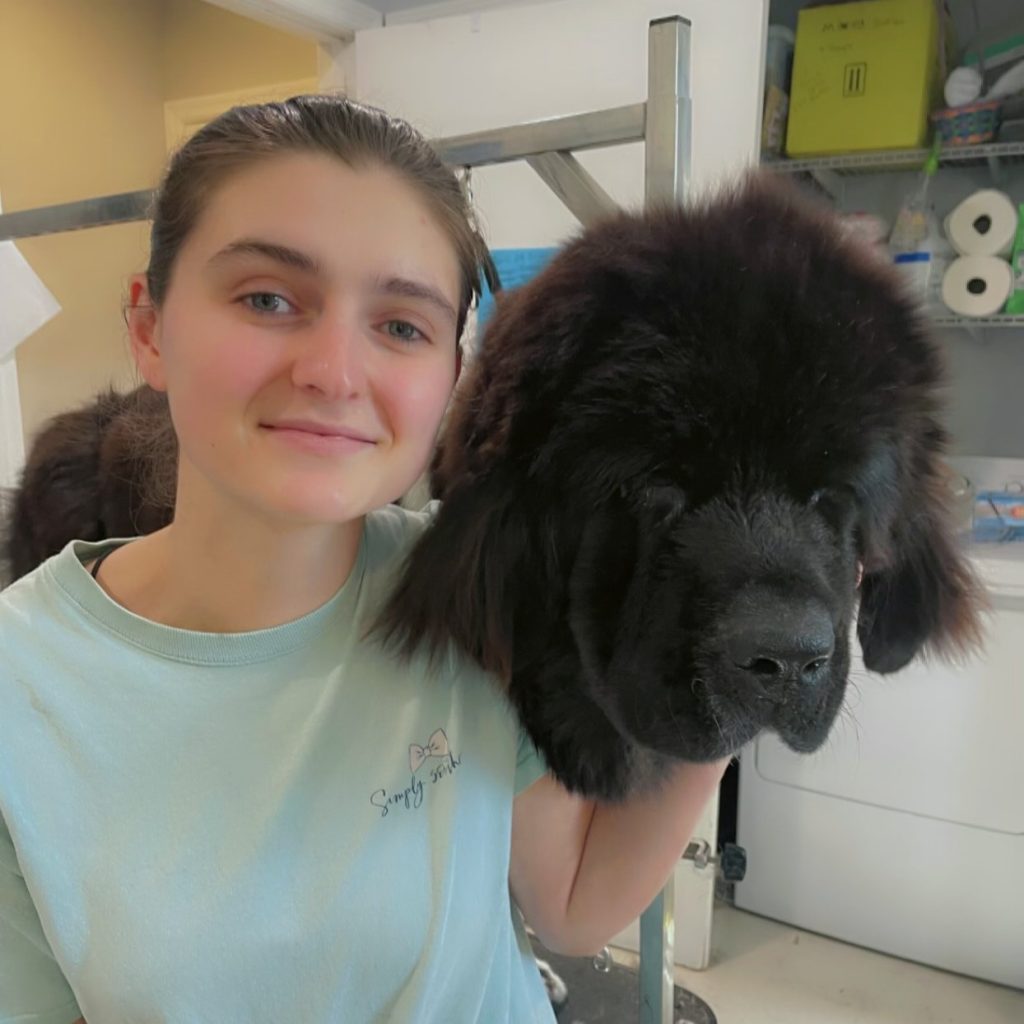 Our Staff Carolina Cat and Canine